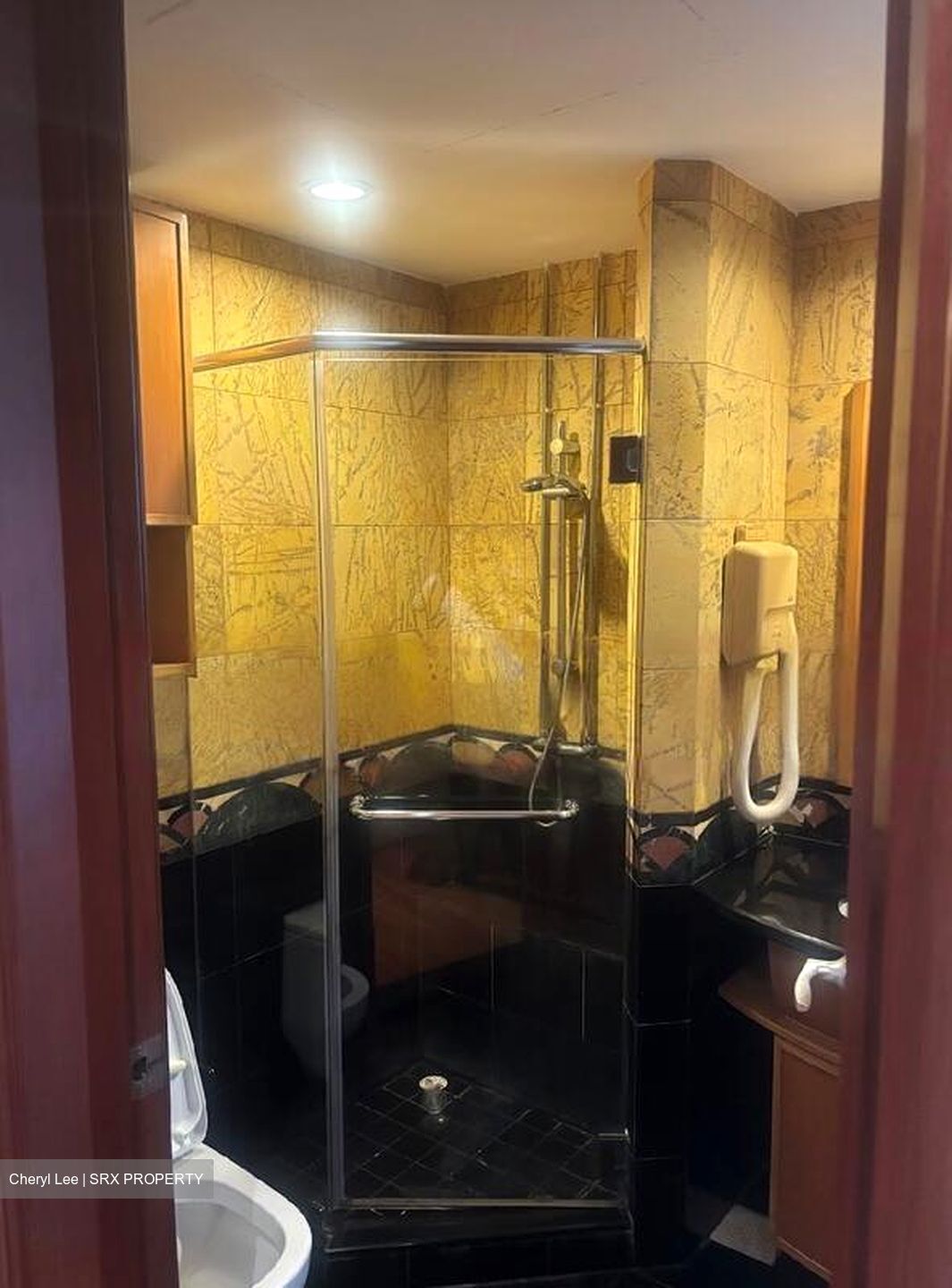 River Place (D3), Condominium #458496461